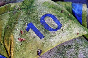 10